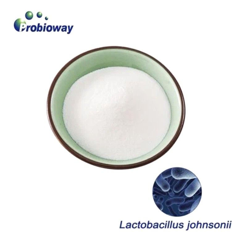 Lactobacillus Johnsonii LBJ 456 Powder Lactobacillus Johnsonii LBJ 456 Powder