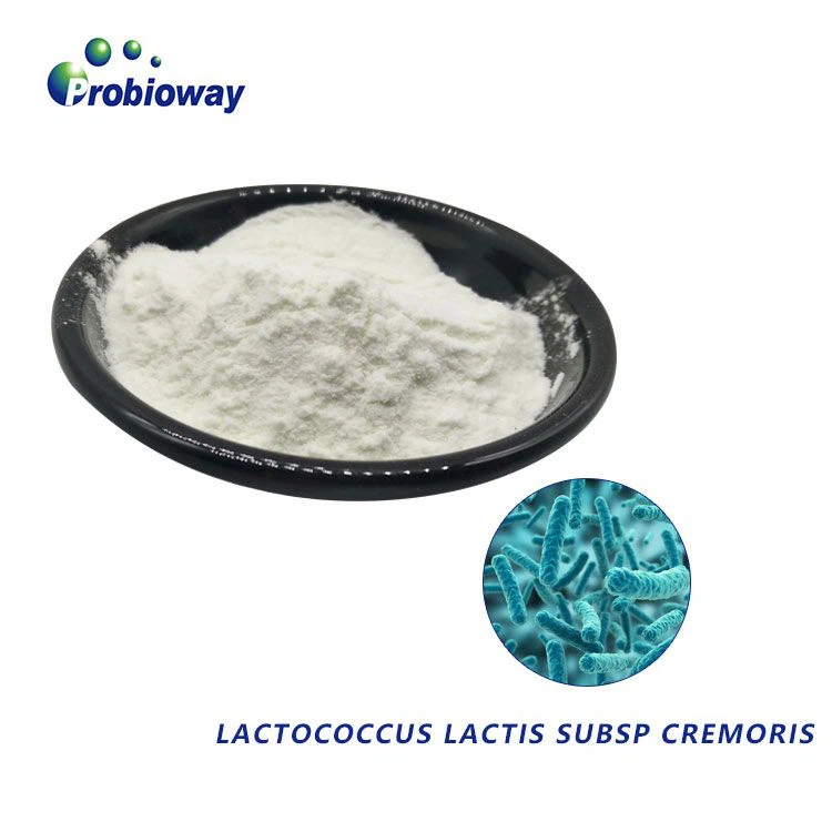 There are so many kinds of probiotics, which are the best for maintaining the...