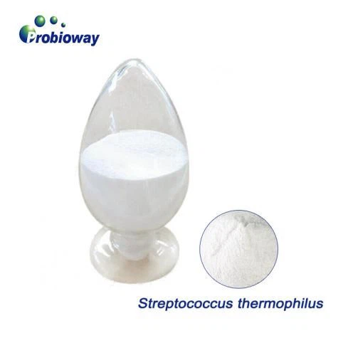 Prebiotics Such As Soybean Oligosaccharides