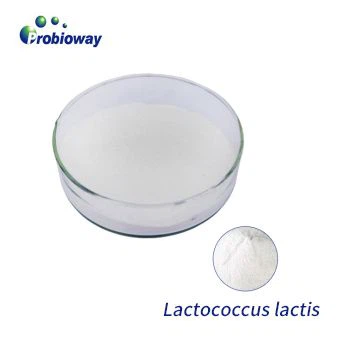Microalgae Prebiotics