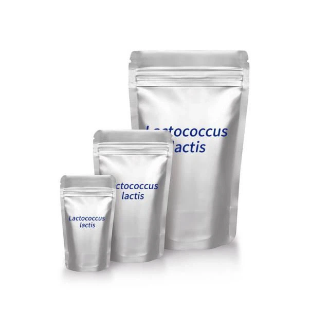 Physiological Efficacy Of Prebiotics