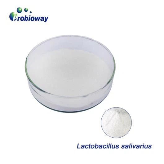 Consensus Conclusions On Physiological Functions Of Non-digestible Oligosacch...