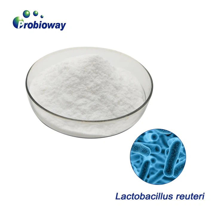 Prebiotic Development Ideas