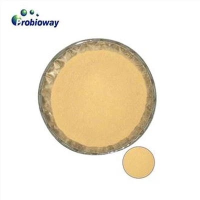 Bacillus Subtilis Feed Additive