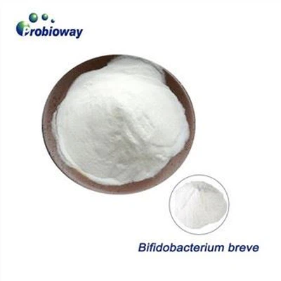 Bifidobacterium Breve 300b