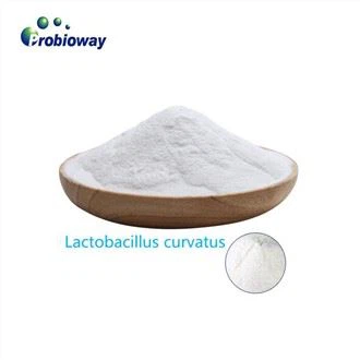 Freeze Drying Lactobacillus Jensenii