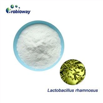 L.rhamnosus Powder