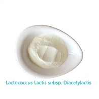 Organic Lactococcus Lactis Subsp. Diacetylactis