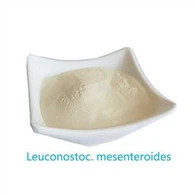 Raw Leuconostoc Mesenteroides