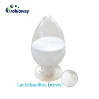 Shelf-stable Lactobacillus Brevis
