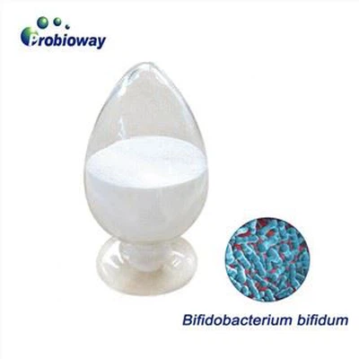 Vegan Bifidobacterium Bifidum