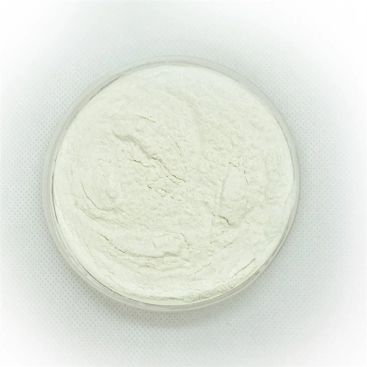 Bifidobacterium Bifidum