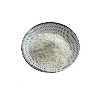 Bacillus Coagulans Probiotic