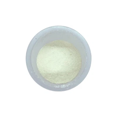 Bacillus Coagulans