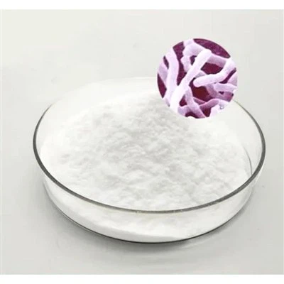 Bifidobacterium Lactis Probiotic