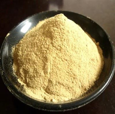 How to Choose High-Quality L. Acidophilus for Your Product? A Complete Guide ...
