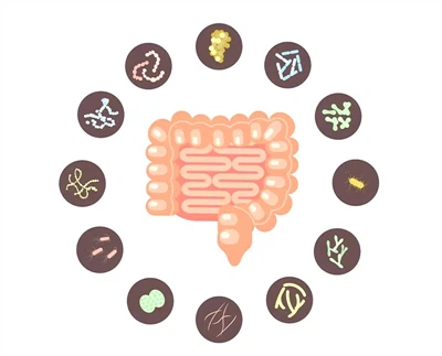 Do probiotics help athletic performance?