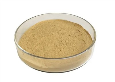 Bacillus Coagulans Powder: Strain Characteristics, Functional Benefits and Pr...