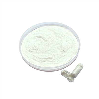 How Do Stress Relief Probiotics Work? Core Strains and Practical Applications...
