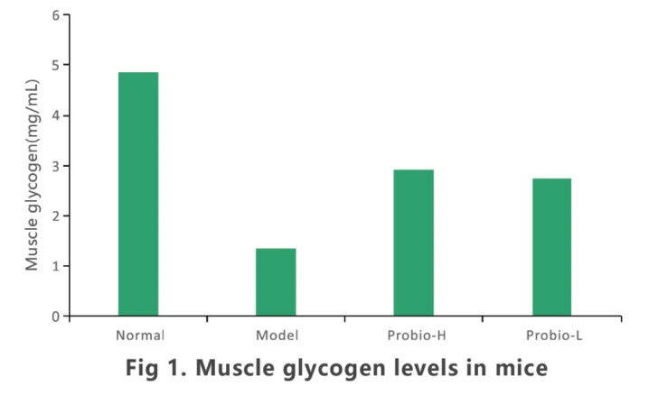 product-728-438 product-728-438