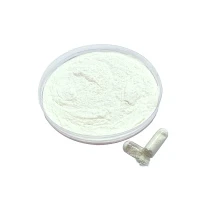 Bad Breath Relief Probiotics